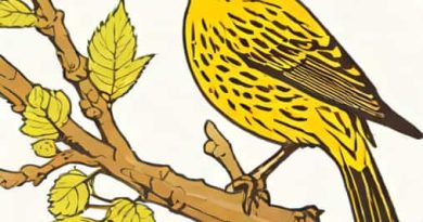 What State Is Called The Yellowhammer State