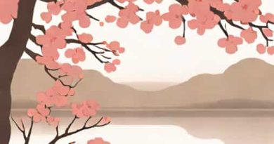 About Cherry Blossom Festival