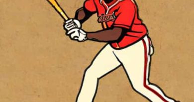 Atlanta Braves Reynaldo Lopez