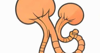 Can Polyps Protrude From Anus