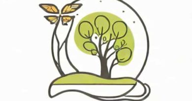 Conservationism In A Sentence