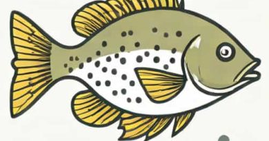 Do Crappie Spawn Twice A Year