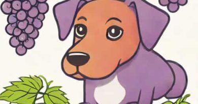 Dog Grape Toxicity Calculator