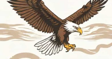 Eagle Fest 2024 Middle Wallop