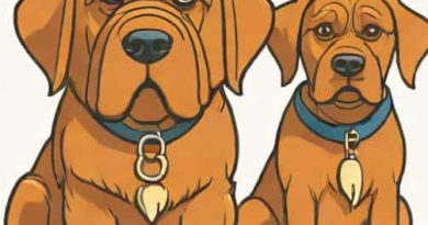 Ernie Lively Turner And Hooch
