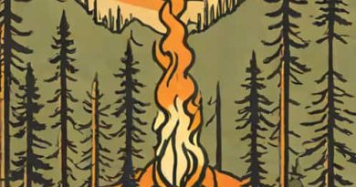 Fire In Sequoia National Park