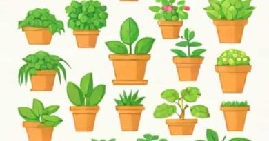 Fpo Full Form In Horticulture