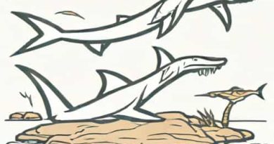 Hammerhead Flotsam And Jetsam