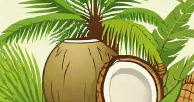 Harmless Harvest Coconut Water