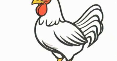 How Much Is A Leghorn Chicken