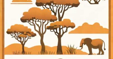How Much Is A Safari In Kenya