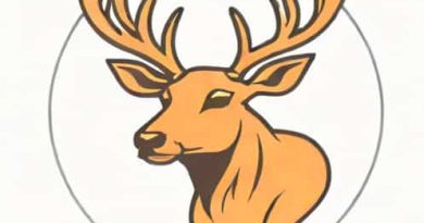 How To Apply For Cerf Program