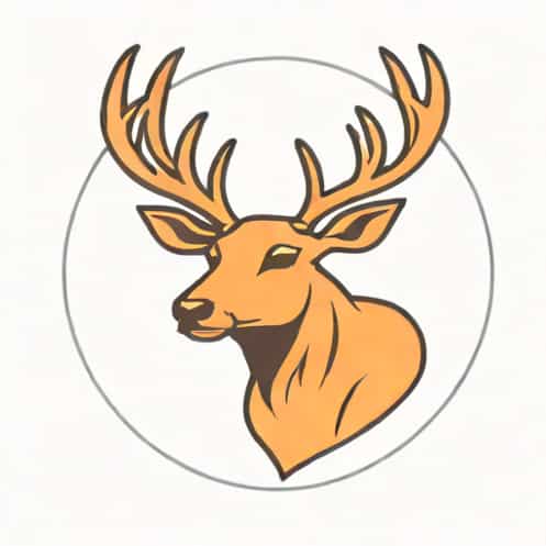 How To Apply For Cerf Program