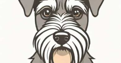 I Hate My Miniature Schnauzer