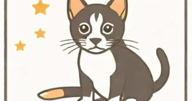 Is It Safe To Donate To Aspca
