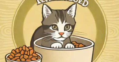 James Wellbeloved Kitten Food