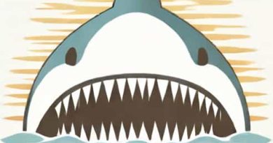 Jaws By Peter Benchley Amazon