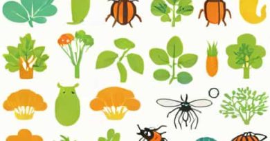Organisms With High Fecundity