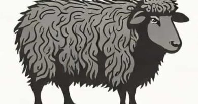 Origin Of Baa Baa Black Sheep