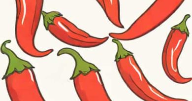 Red Chilli Pepper Budge Budge