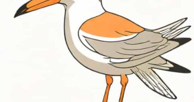 Royal Tern Ceramics Phils Inc
