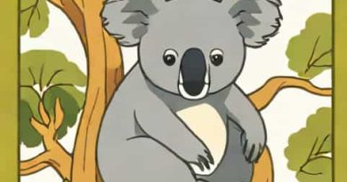The Lone Pine Koala Sanctuary
