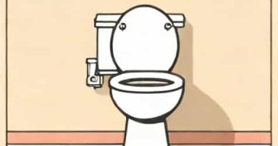 The Skibidi Toilet Or Creeper