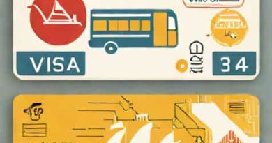 Visa Transit Nicolas De Crecy