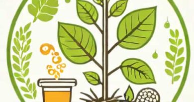 What Is Biomass Recalcitrance