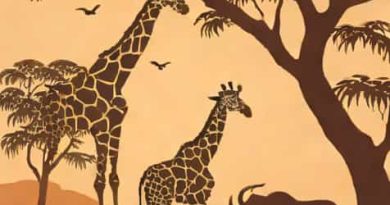 What Is Chester Zoo Afterglow