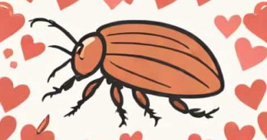 Zoo Valentine'S Day Cockroach
