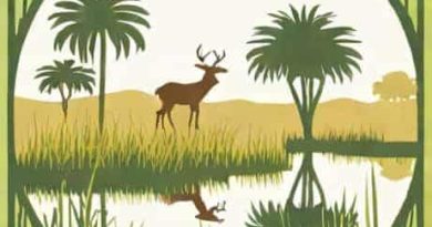 Everglades Headwaters National Wildlife Refuge