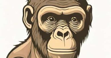 Homo Habilis Australopithecus And Zinjanthropus