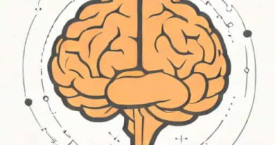 Right Hemisphere Of The Brain Is Responsible For