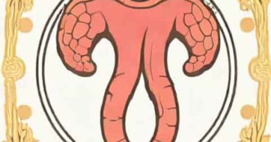The Villus In The Small Intestine Is Significant