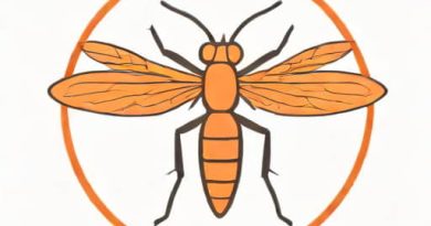 Vector For Malaria Is Female Anopheles Mosquito