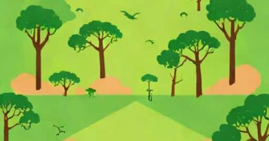 What Led To Extensive Deforestation In Zimbabwe
